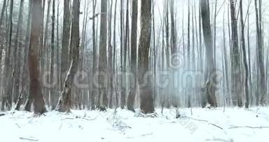 暴风雪期间的冬季雪林公园。 <strong>冰雪</strong>混合<strong>森林</strong>。 全景